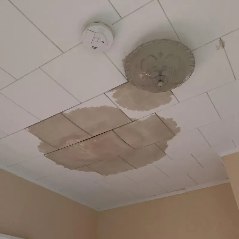 Ceiling Water Damage Repair in Calcium, NY